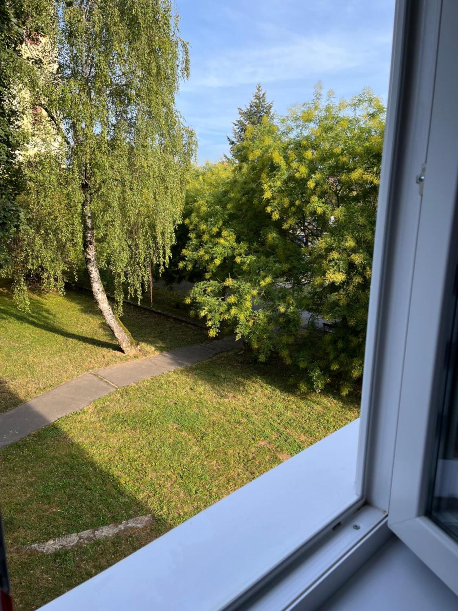 Kelemen Apartman Надьканижа Экстерьер фото